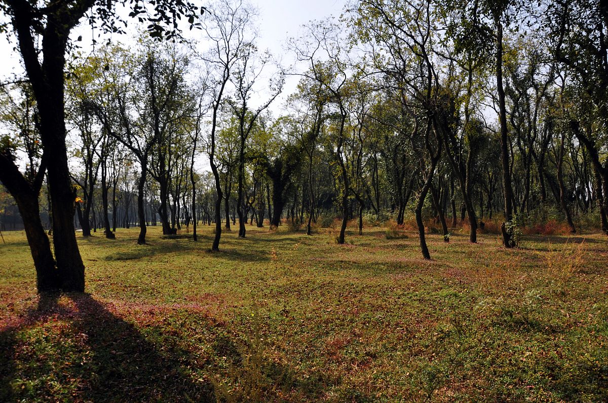 江西旅游商贸职业学院应用韩语专业涉及哪些课程