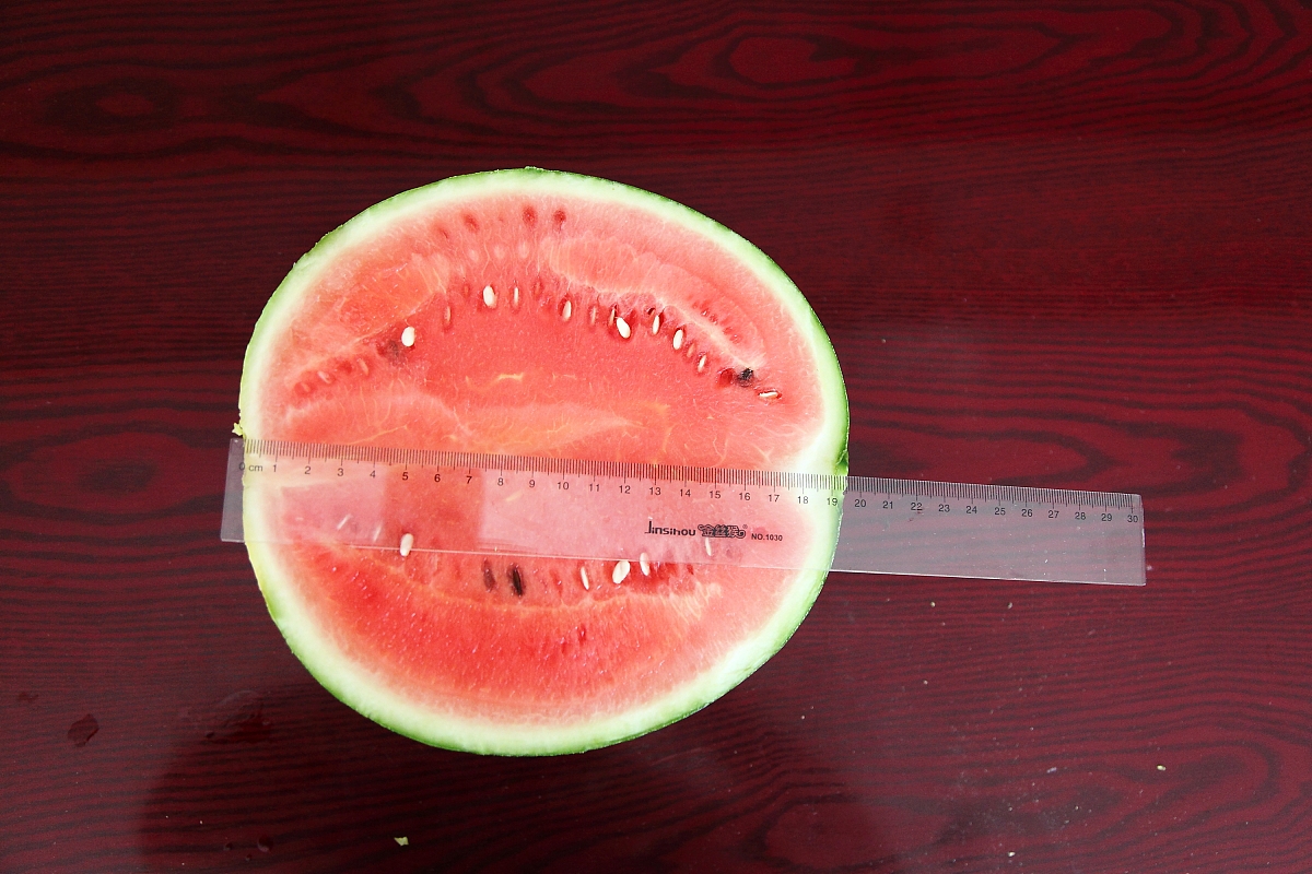 品种试验登记审定流程：从申请到推广