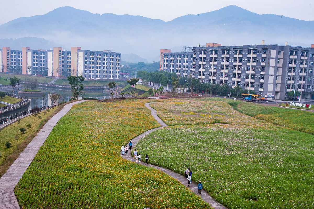重庆市旅游学校五年制大专学校乘车路线