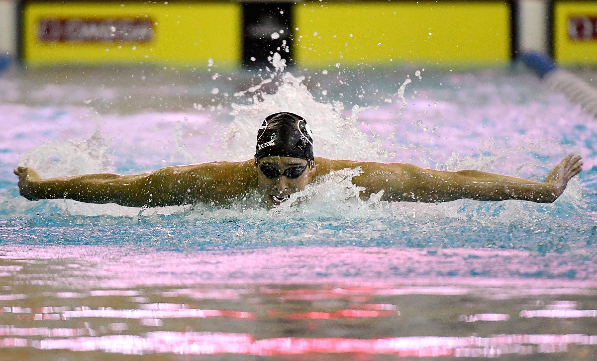 DISCRETE AND CONTINUOUS DYNAMICAL SYSTEMS-SERIES B 期刊：动力系统研究的领先平台