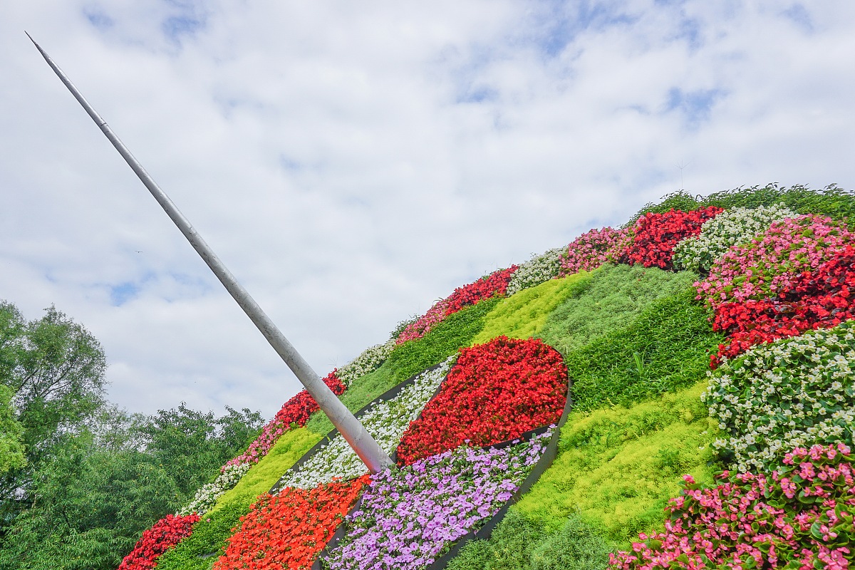 小学三年级语文《花钟》课后习作：感受自然，珍惜生命
