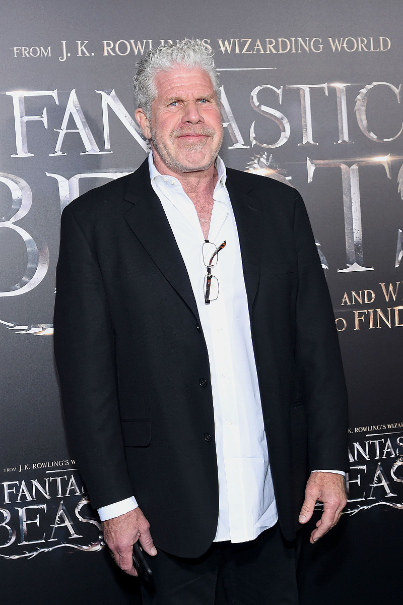2016年11月10日,美国纽约,电影《神奇动物在哪里》(fantastic beasts 