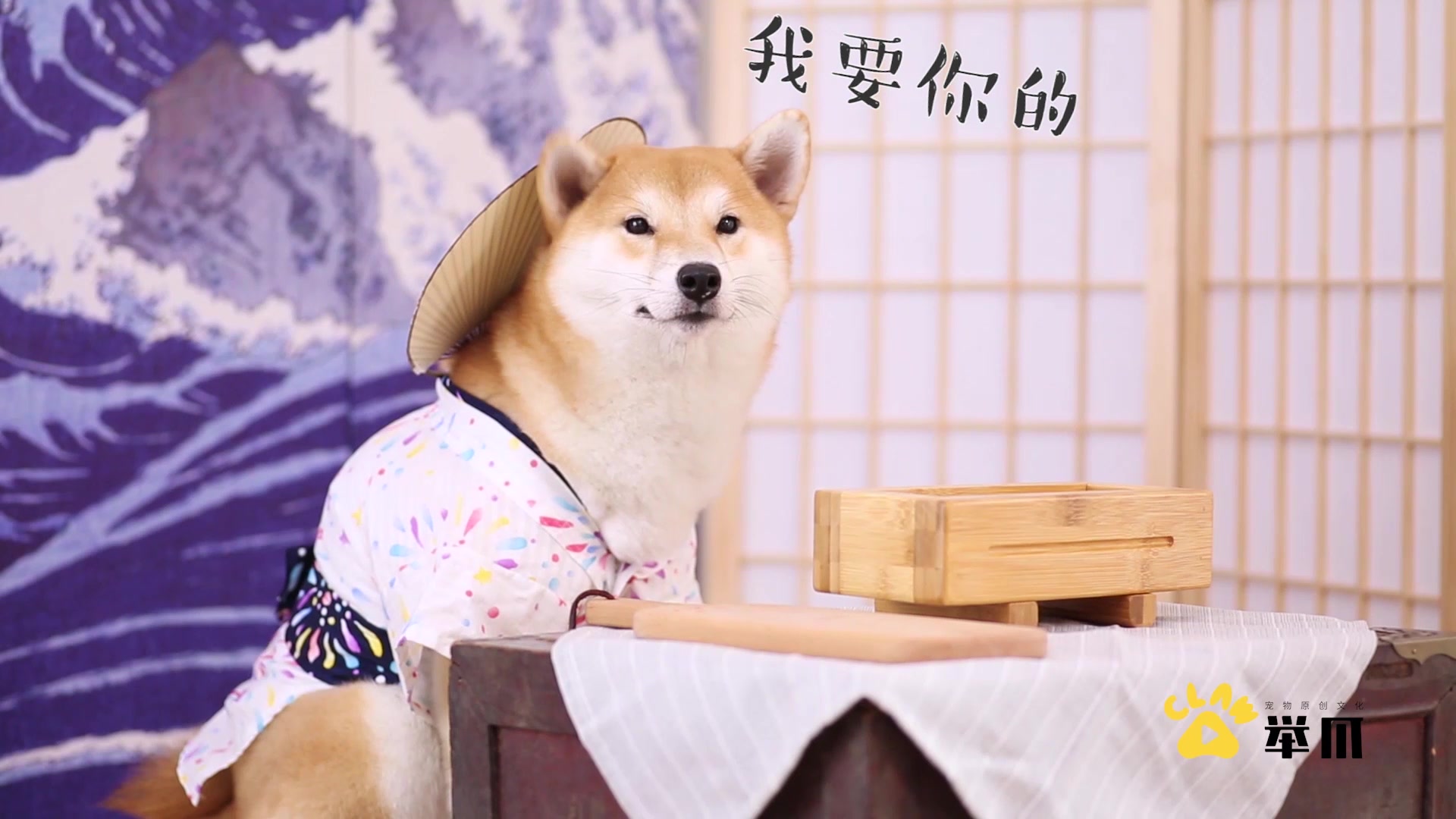 柴犬做得美毛寿司套餐,色香味俱全,好吃又好看