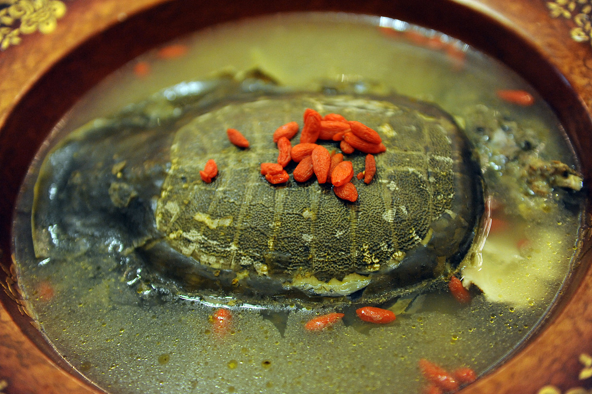 高级海龟汤：制作方法、营养价值及食用注意事项