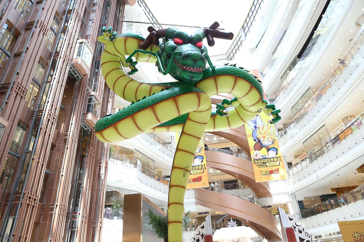 装龙珠 简介 回答加拓展