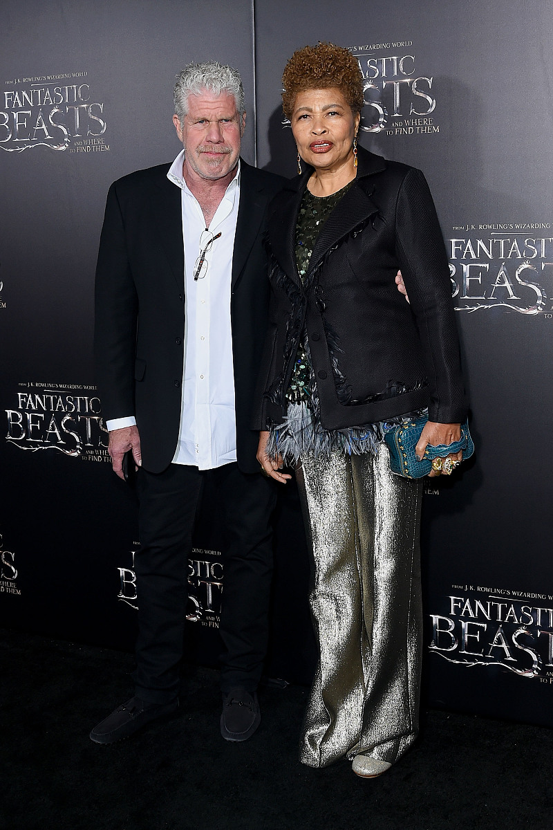 2016年11月10日,美国纽约,电影《神奇动物在哪里》(fantastic beasts 