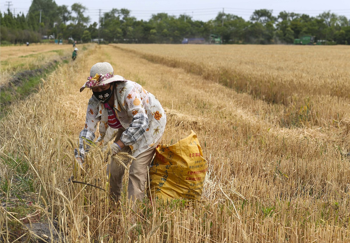 写一段农民劳作的文字