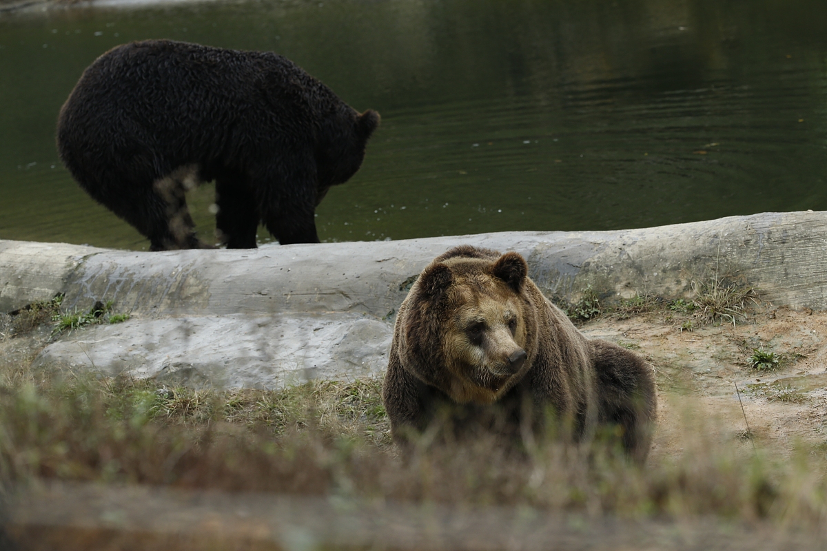琼州学院汉语言文学专业怎么样