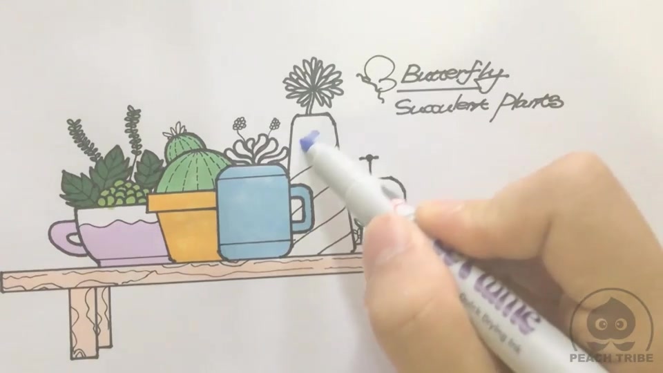 简笔画 | 多肉植物(下)