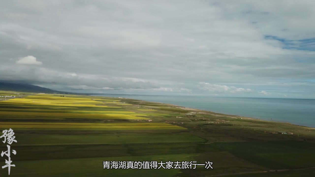 航拍青海湖畔的油菜花海,美得犹如一幅油画,唯美