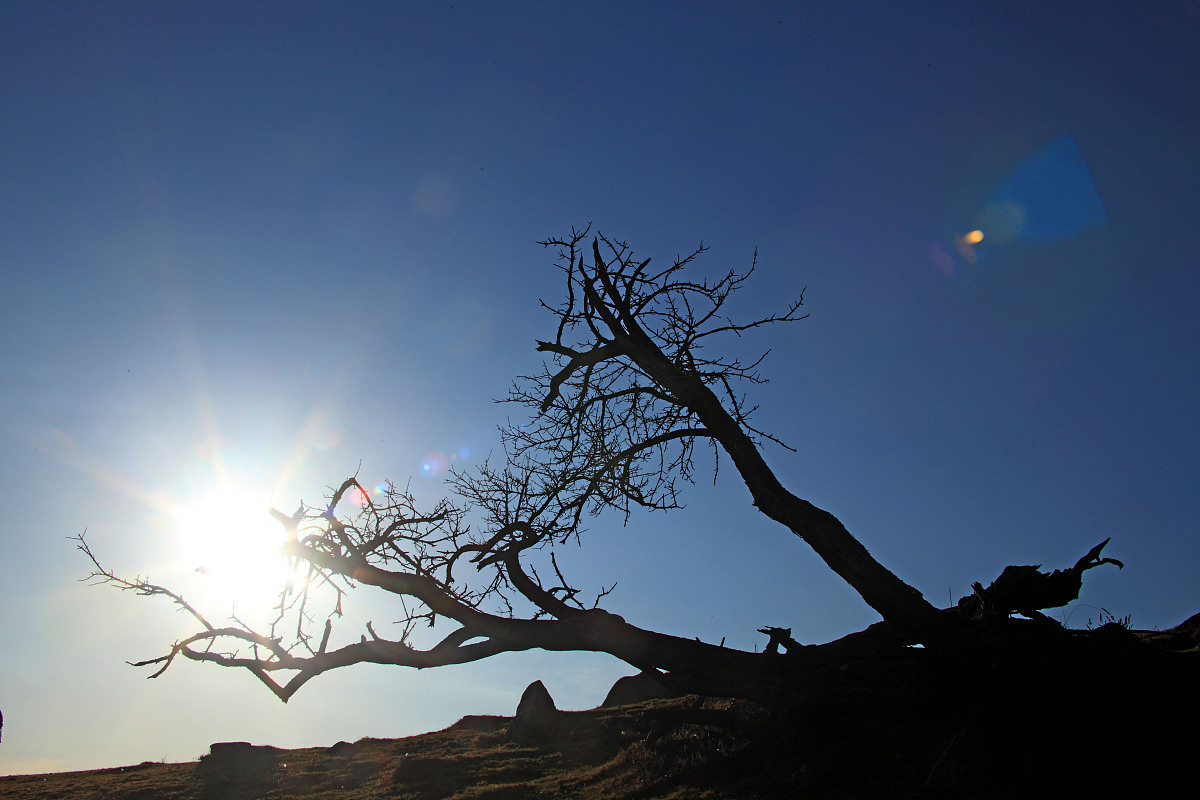 蛟河市紧急求助电话是多少？媒体曝光官方热线！