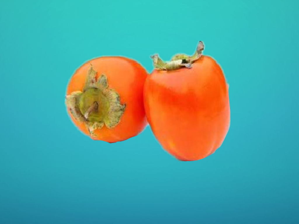 鸡心柿:柿科落叶乔木