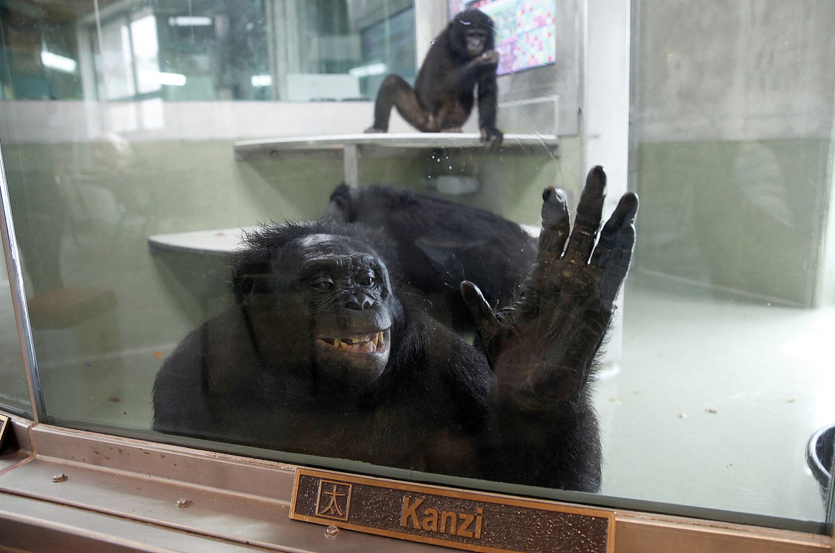 形容词长度：从短到长，比'long'更长的词有哪些？