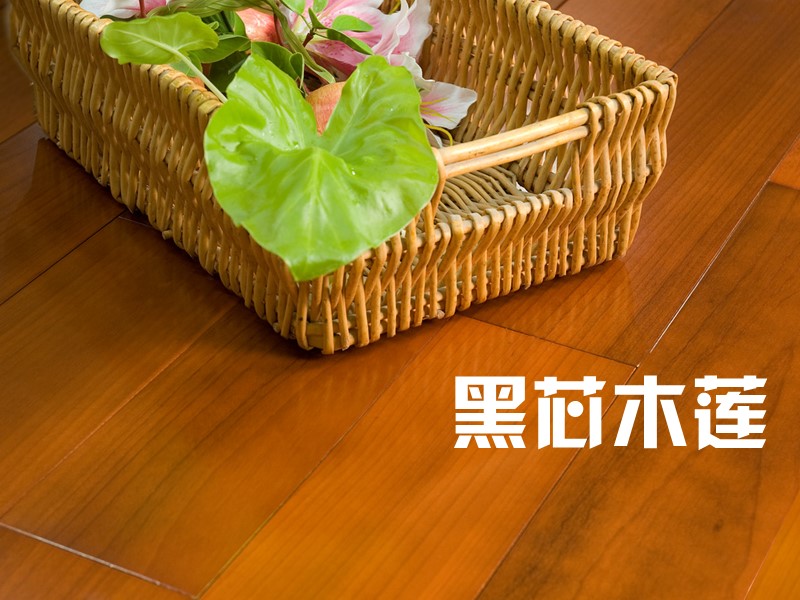 黑芯木莲:又称木莲,黑楠木,金丝柚木,灰木莲