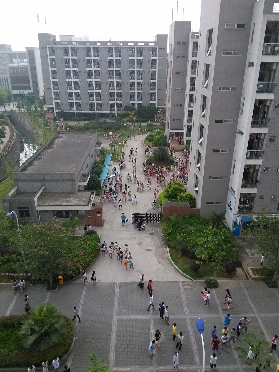 2022年陆丰市碣石新安职业技术学校招生简章-官网