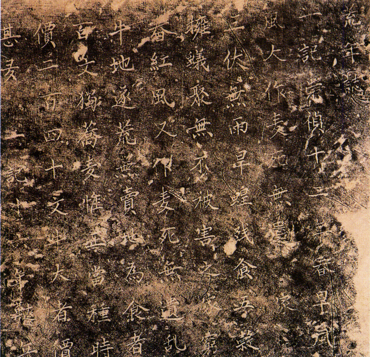 师傅说人生在世有三不孝一不孝天灾二不孝人祸三不孝疾病。不孝天灾是因为天灾无可避免却又冷酷无情。上天有好生之德每个生命都有生存的权利天灾无可避免但有时候人祸也何其无辜。这个世界上总是有无辜的人在为一些人的错误买单犯错的人固然可恶无辜的人何其无辜。不笑人祸是因为哪个人没有为别人买过单呢？你也有我也有。今日你笑他人明日他人笑你同是不幸的人又何必自相残害呢？不孝疾病是作为人的一点良知许多不幸的事情大家都不