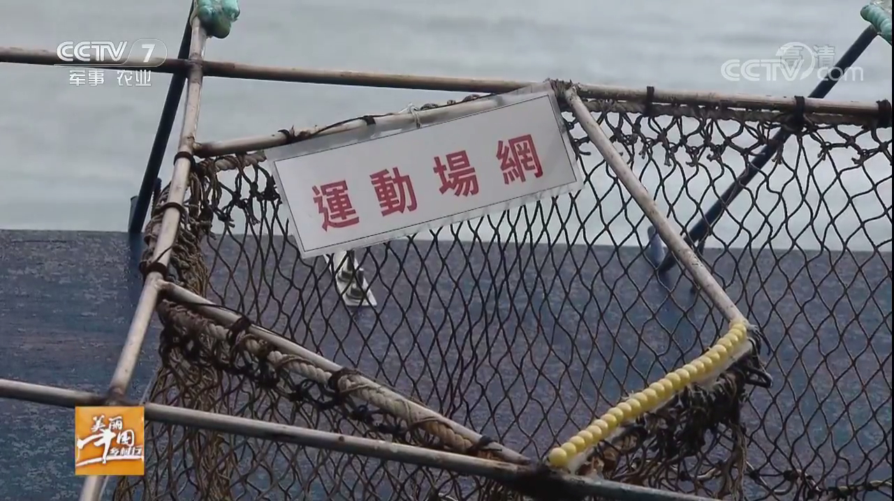 《美丽中国乡村行》一张渔网能给台湾渔民每年带来8百万台币收入