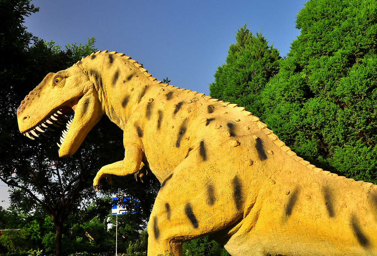 唯物主义自然观：理解物质世界和自然规律