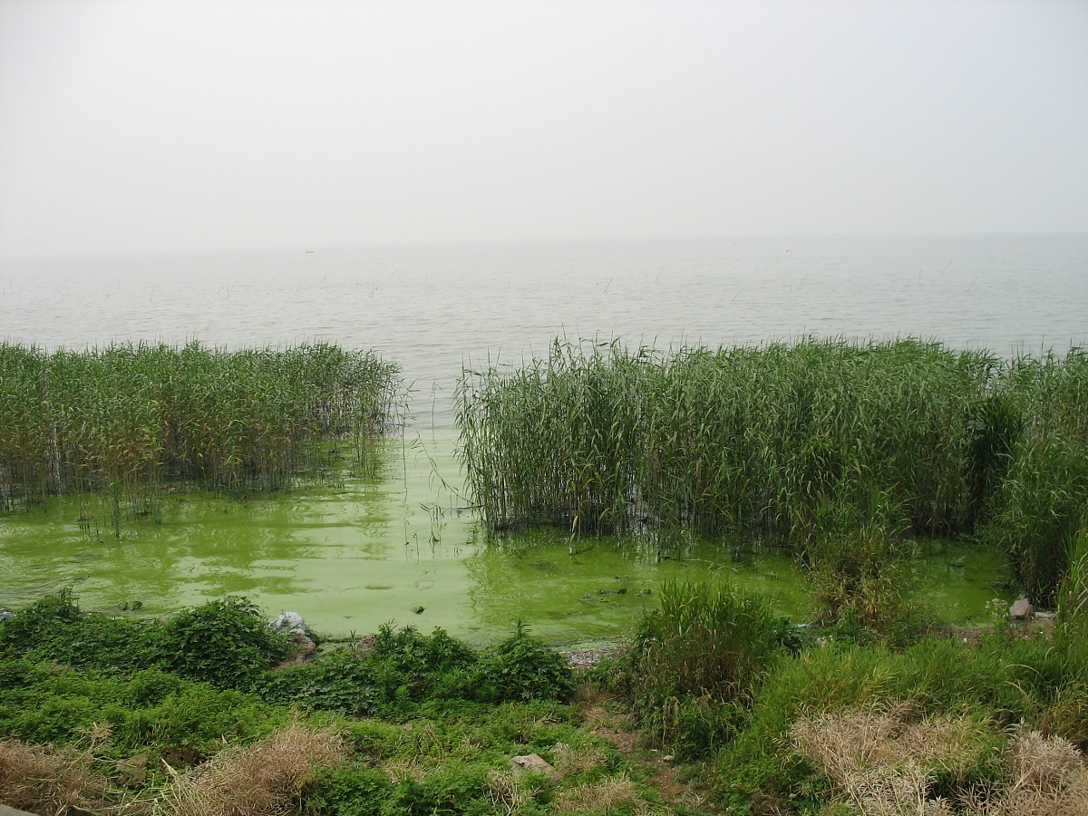 2010年6月3日,北京,鉴于太湖水质不断恶化,蓝藻频繁爆发,国务院法制办