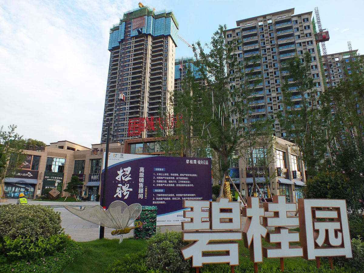 你现在是一个导航网站的编辑人员请为我写一篇碧桂园控股有限公司的相关介绍。