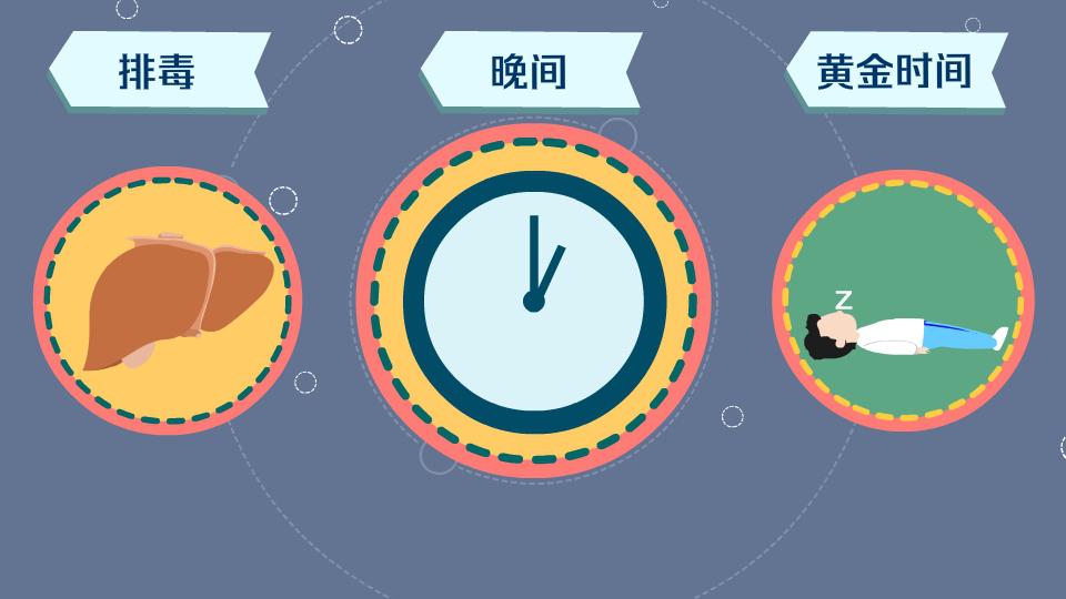 一分钟了解内脏