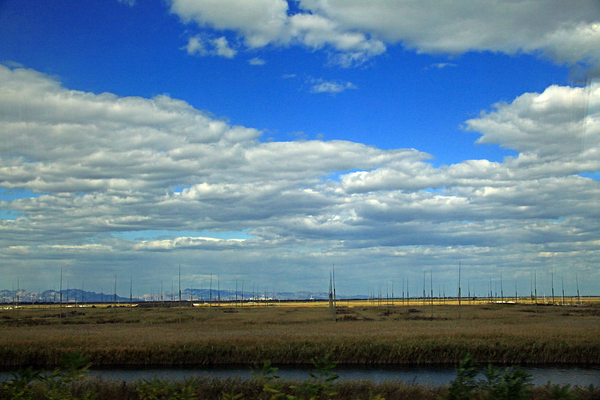***_***2011年10月18日,辽宁省盘锦市,世界最大的湿地芦苇荡风光.+++_