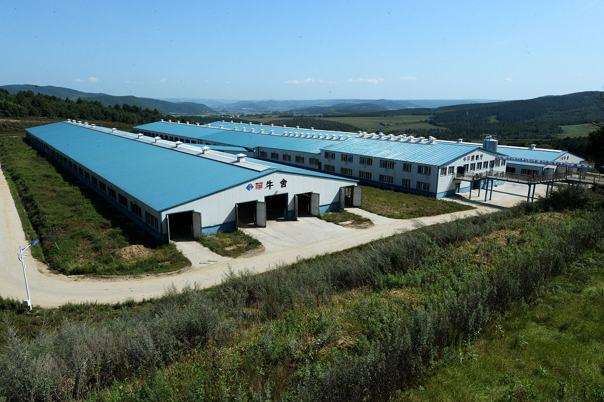 帮我设计一个小型牛舍大概能容纳25头牛