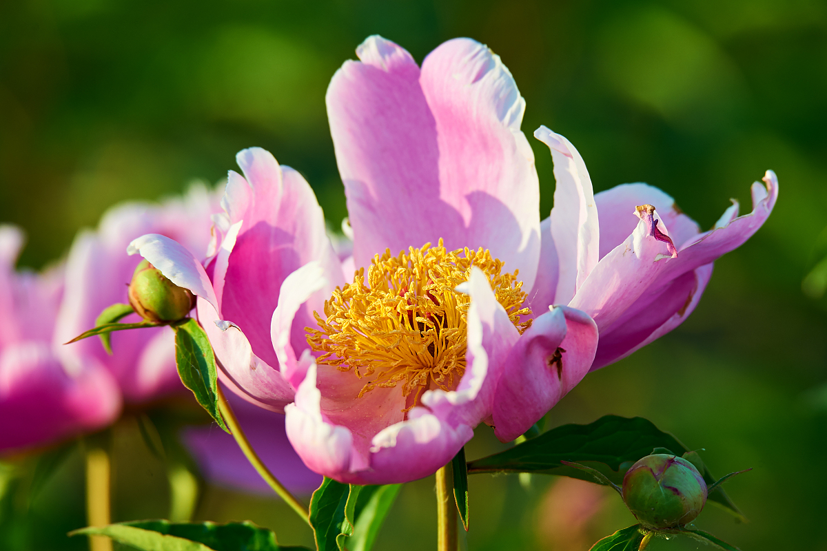 黑龙江生态工程职业学院环境工程技术专业专业课程设置有哪些