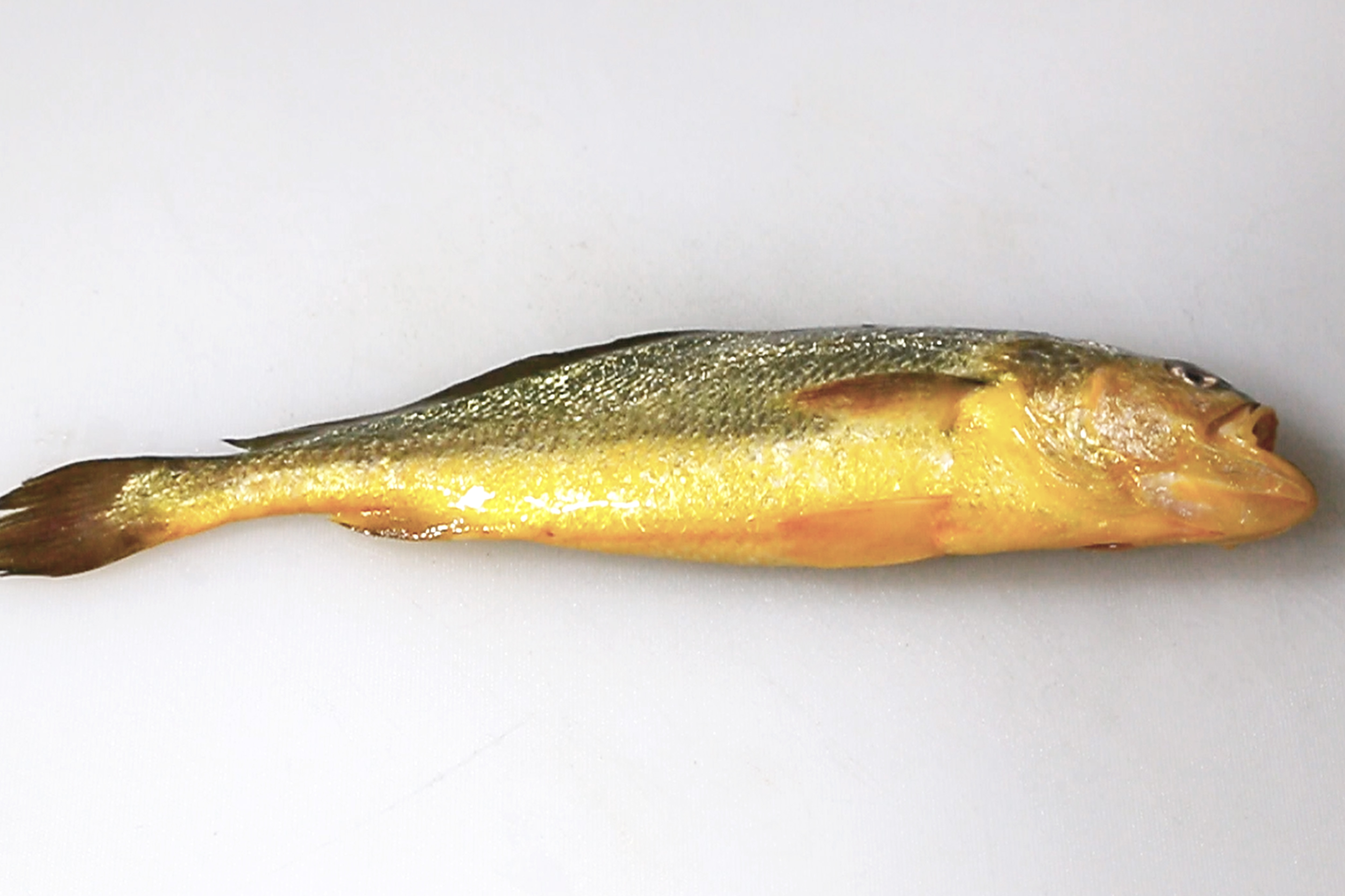 新鲜黄鱼用肉末垫底清蒸,家常做法这样的海鲜料理非常简单