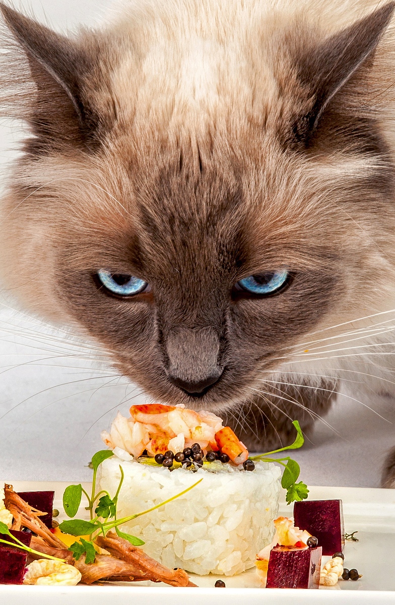 河粉热量高吗？吃河粉会胖吗？