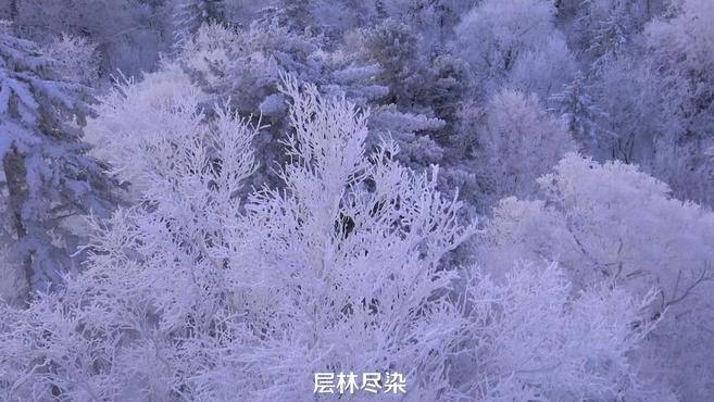 [图]东北扎龙湿地,雪地观鹤享奇观