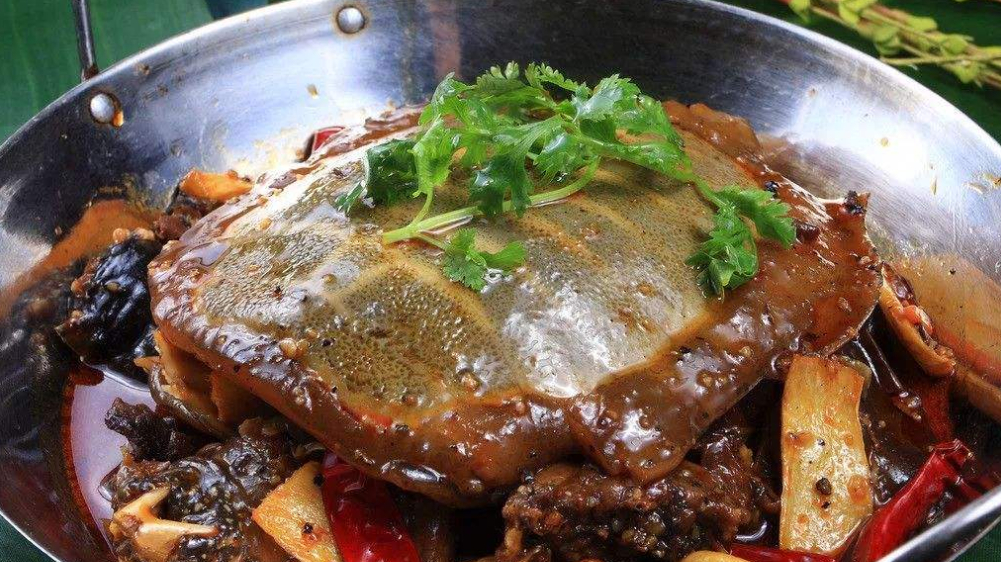 动物界最大不公,甲鱼被宰杀食用,乌龟却倍受供奉