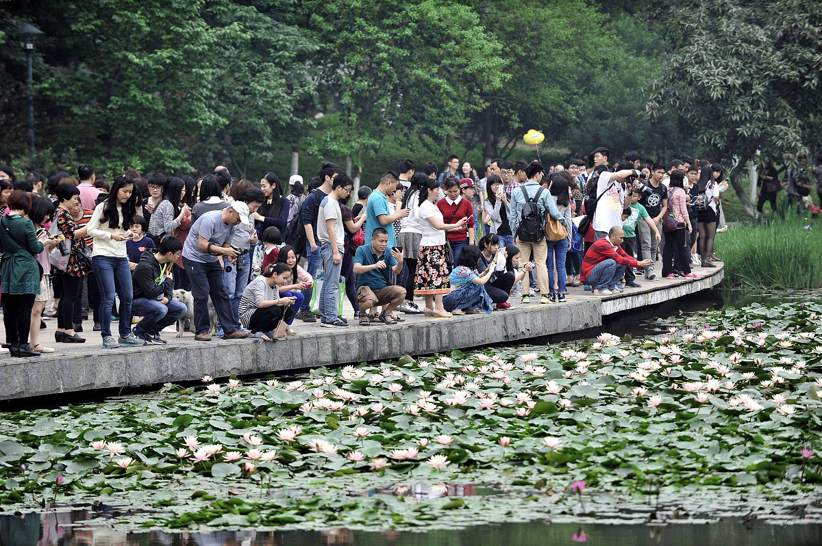 广州大学音乐学专业怎么样