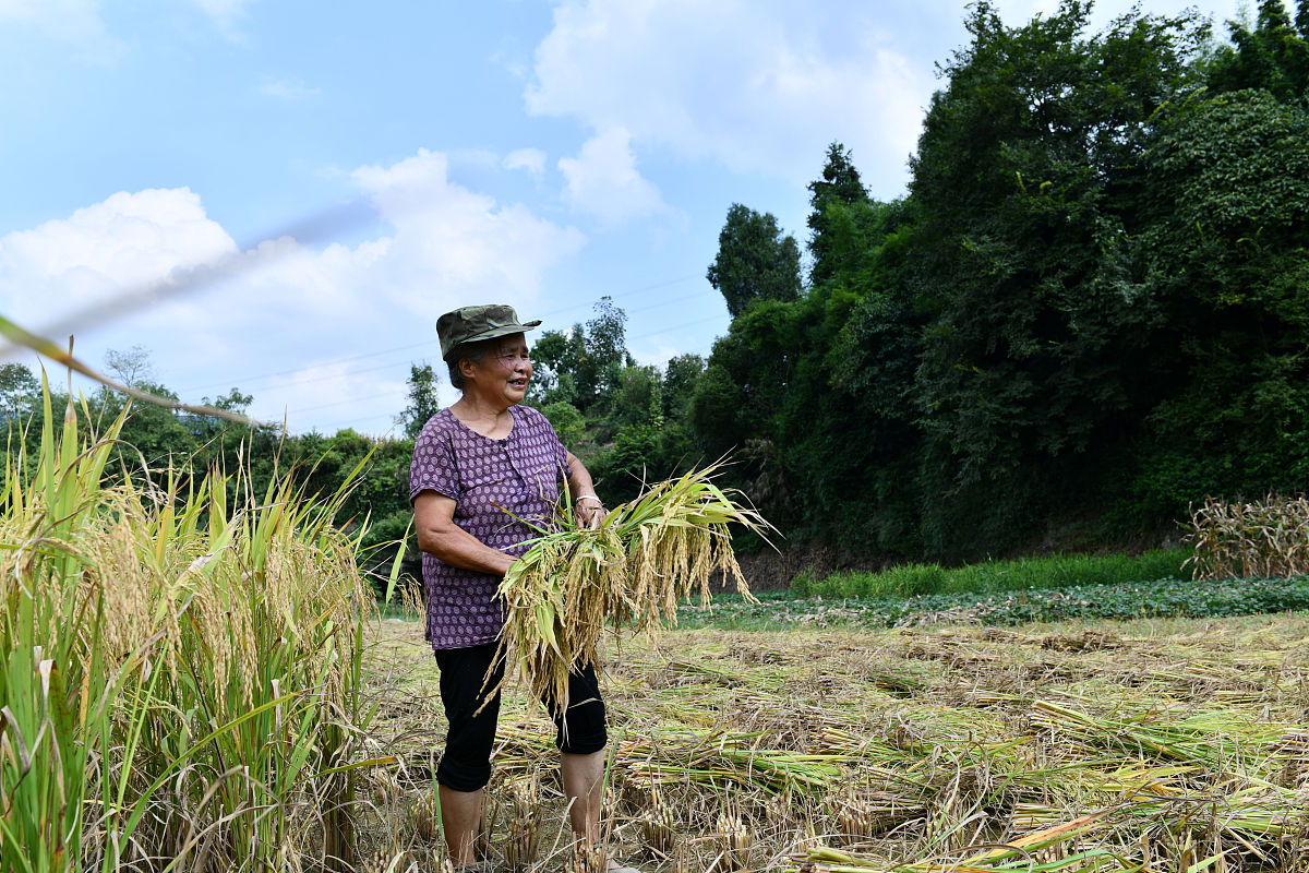 2019年遵义市红花岗区中等职业学校招生简章