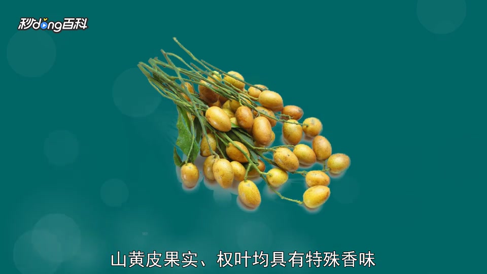 原来鸡皮果长这样