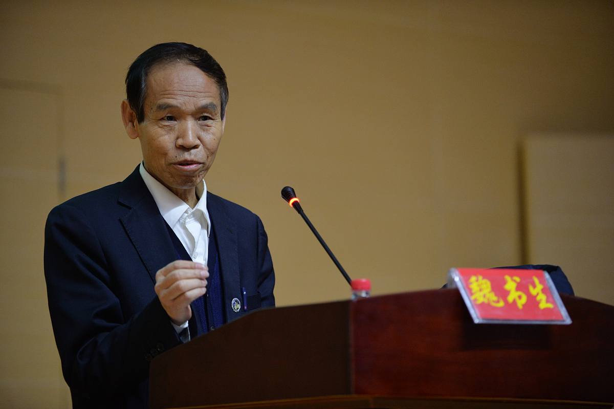 教育见习班级的见习报告