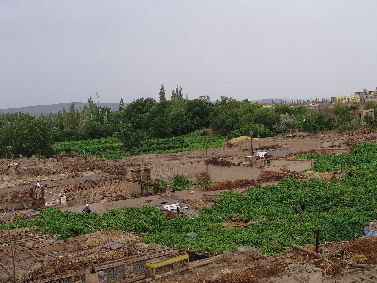 关于吐鲁番葡萄沟景区研究方案的文献综述有哪些帮我用200字详细描述