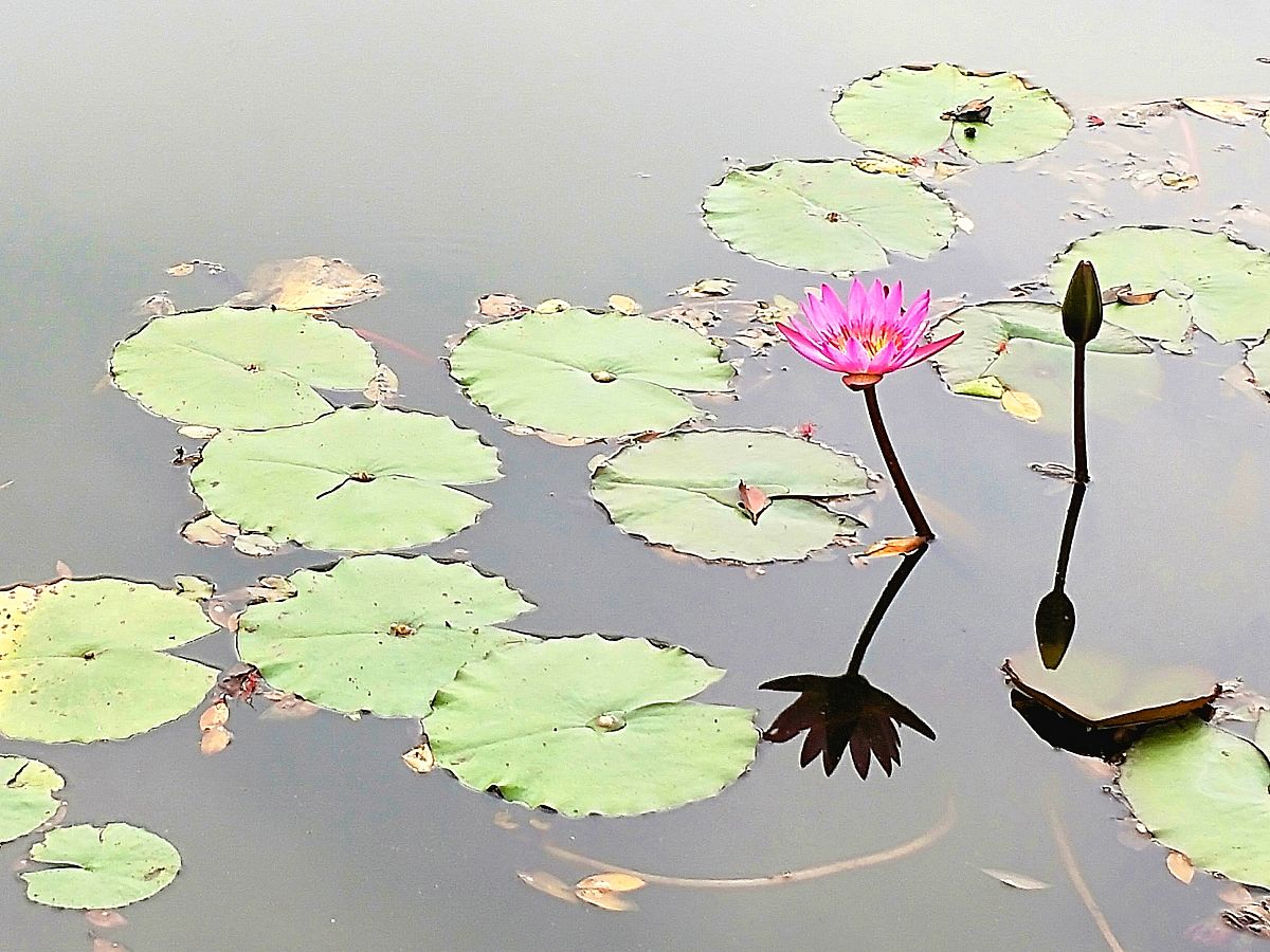 广州大学地址在哪？怎么去？