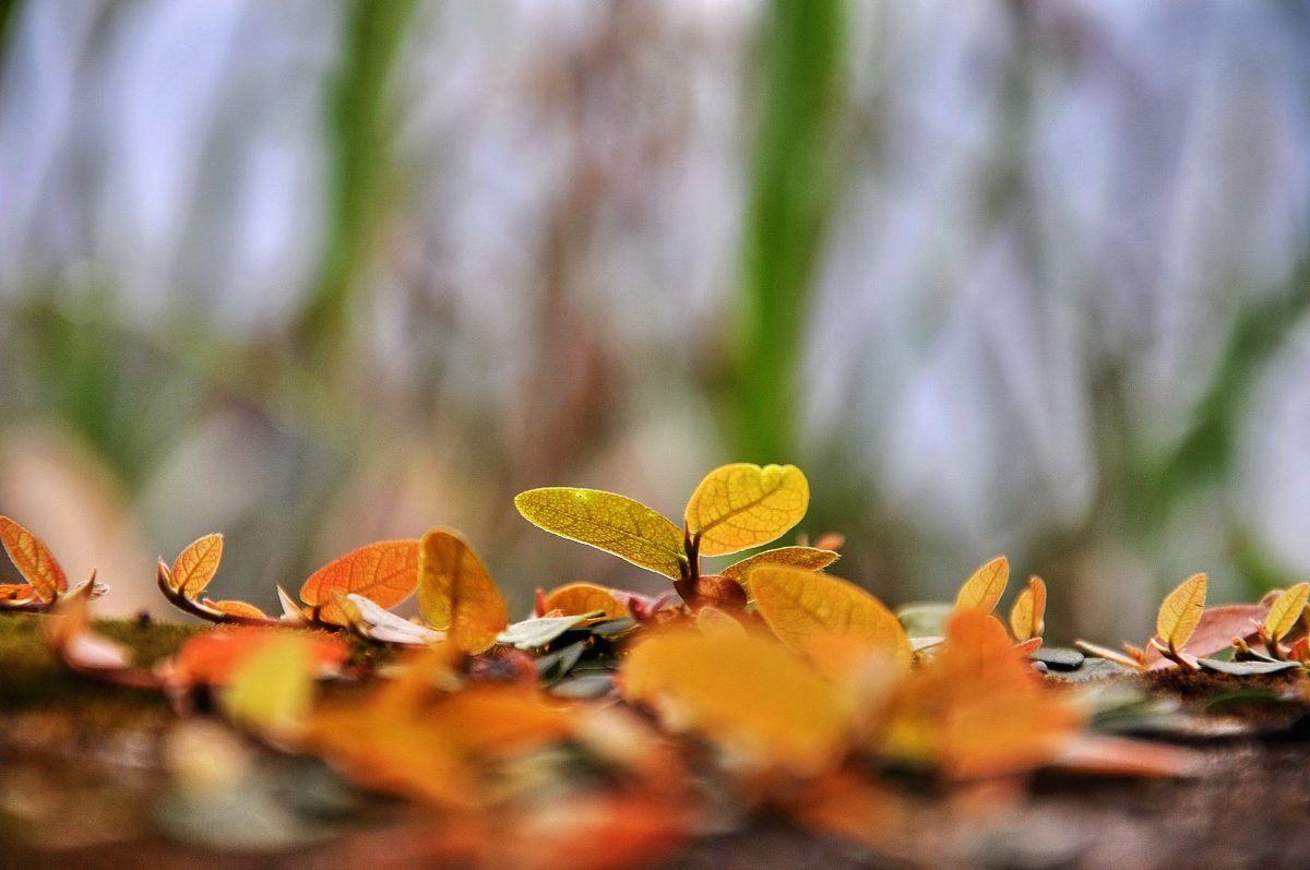 写一首带有数字的关于春天的诗歌