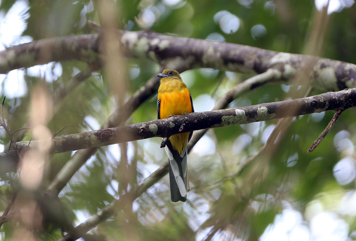 云南西双版纳州高铁学校：值得选择吗？