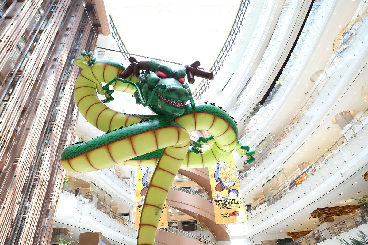 装龙珠 简介 回答加拓展