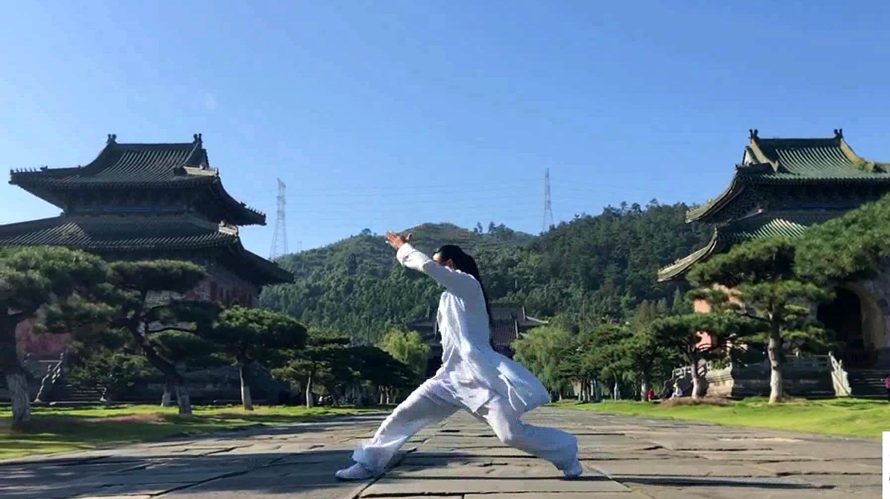 [图]武当九式太极拳，只有练出混元力，才能够展现太极真正劲力