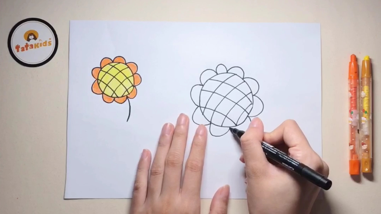 向日葵简笔画-趣味分步画大全
