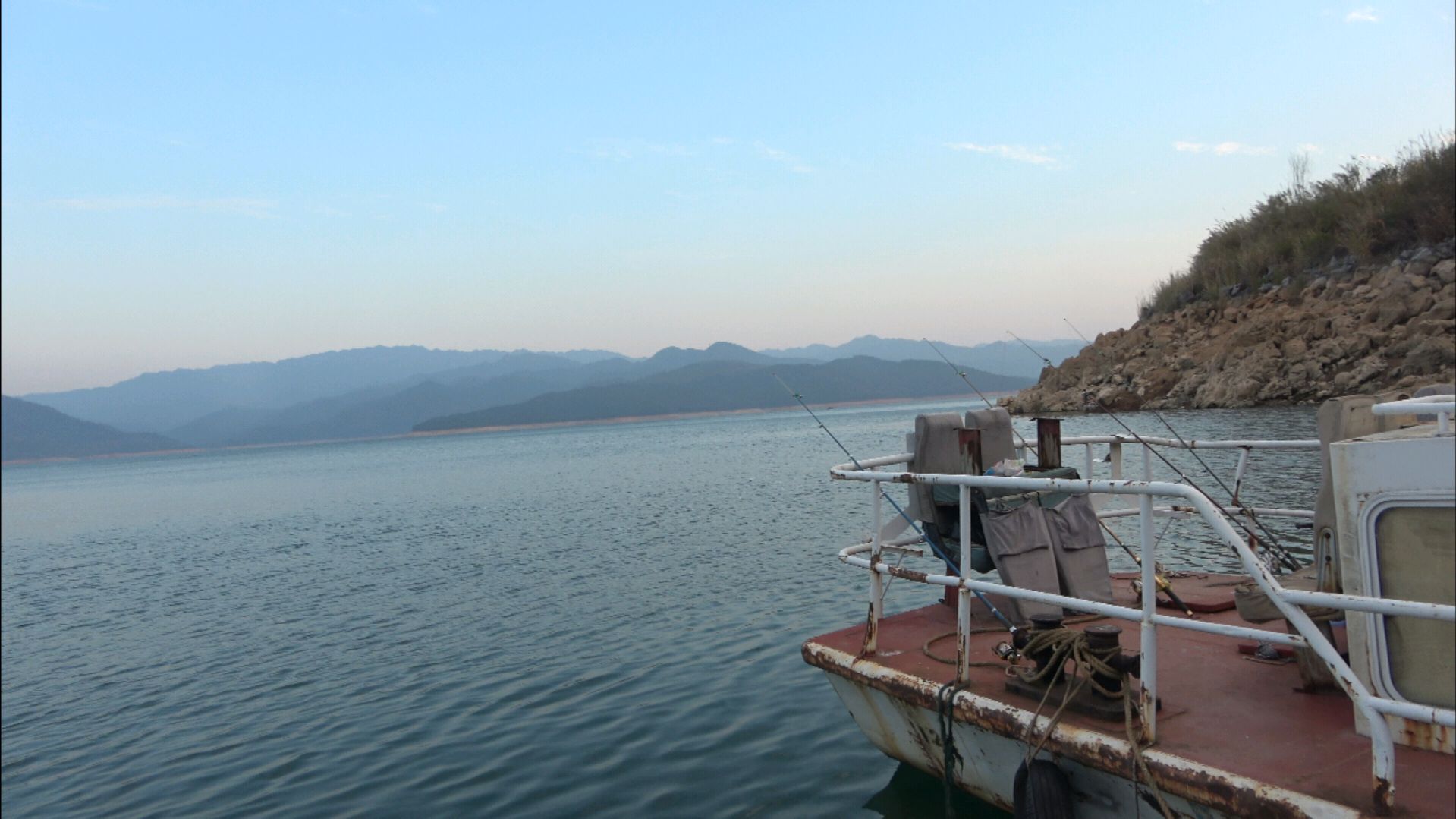 东江湖野钓草鱼,朋友带着救生圈跳入水里溜鱼,看看这鱼有多大