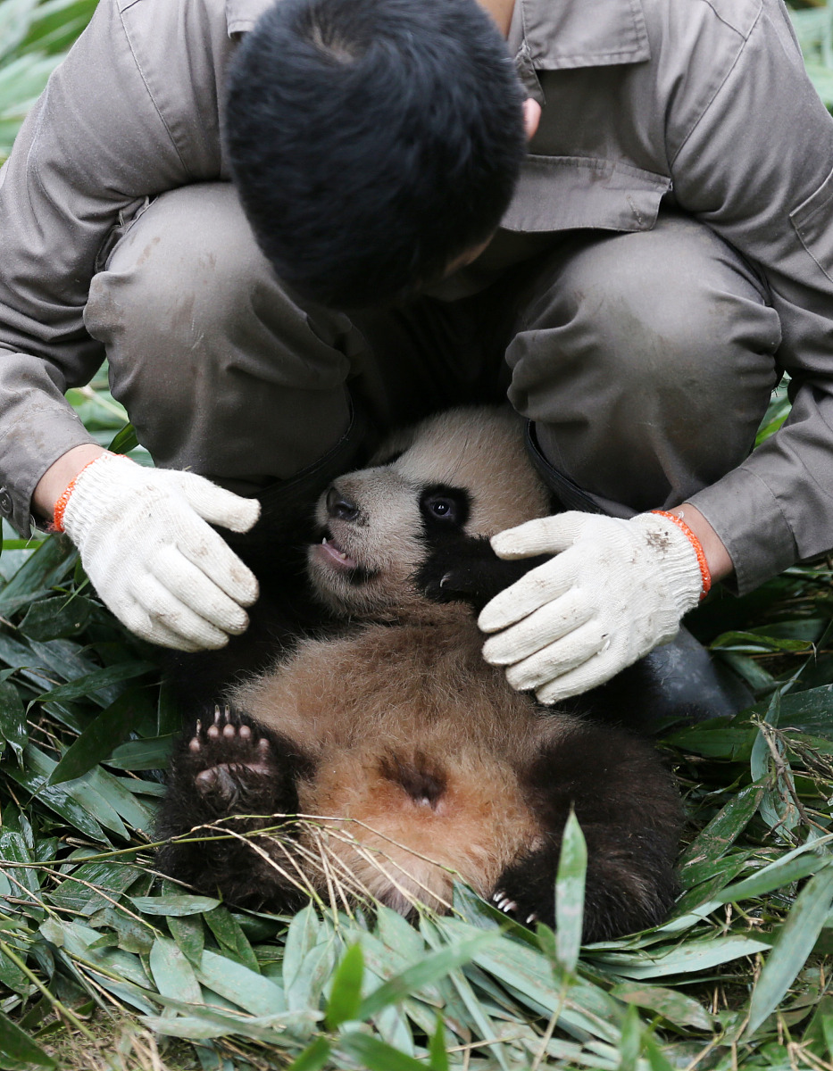 四川幼儿教育专业哪所学校好？推荐几所优质院校！
