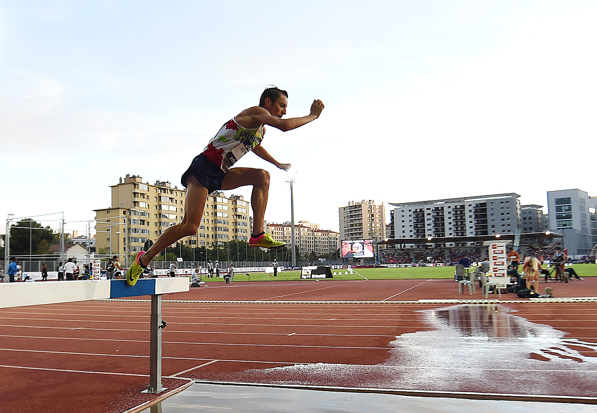 二年级小学生运动会作文：精彩纷呈，收获满满