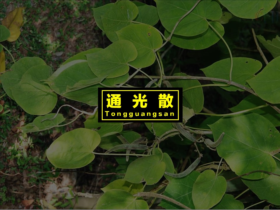 通光散:为萝藦科牛奶菜属植物通关藤的茎、根或叶