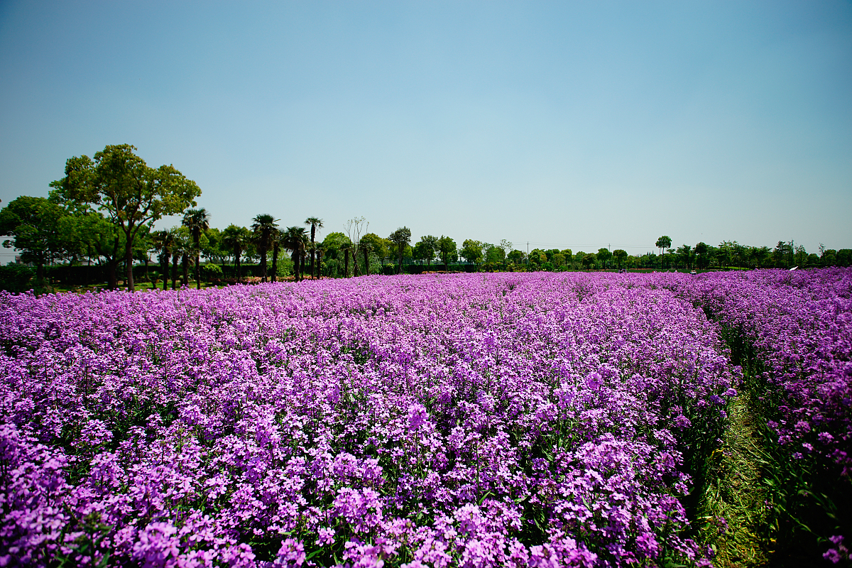 工业投资项目服务：全方位咨询与支持，助您项目成功 - [公司名称]