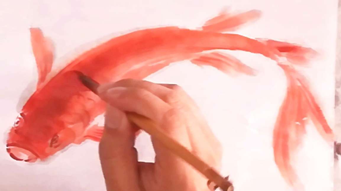 国画基础——红鲤鱼
