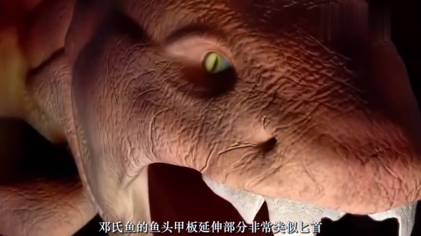 咬合力秒杀霸王龙,一秒钟张合50次,它才是第一个“万物之王”